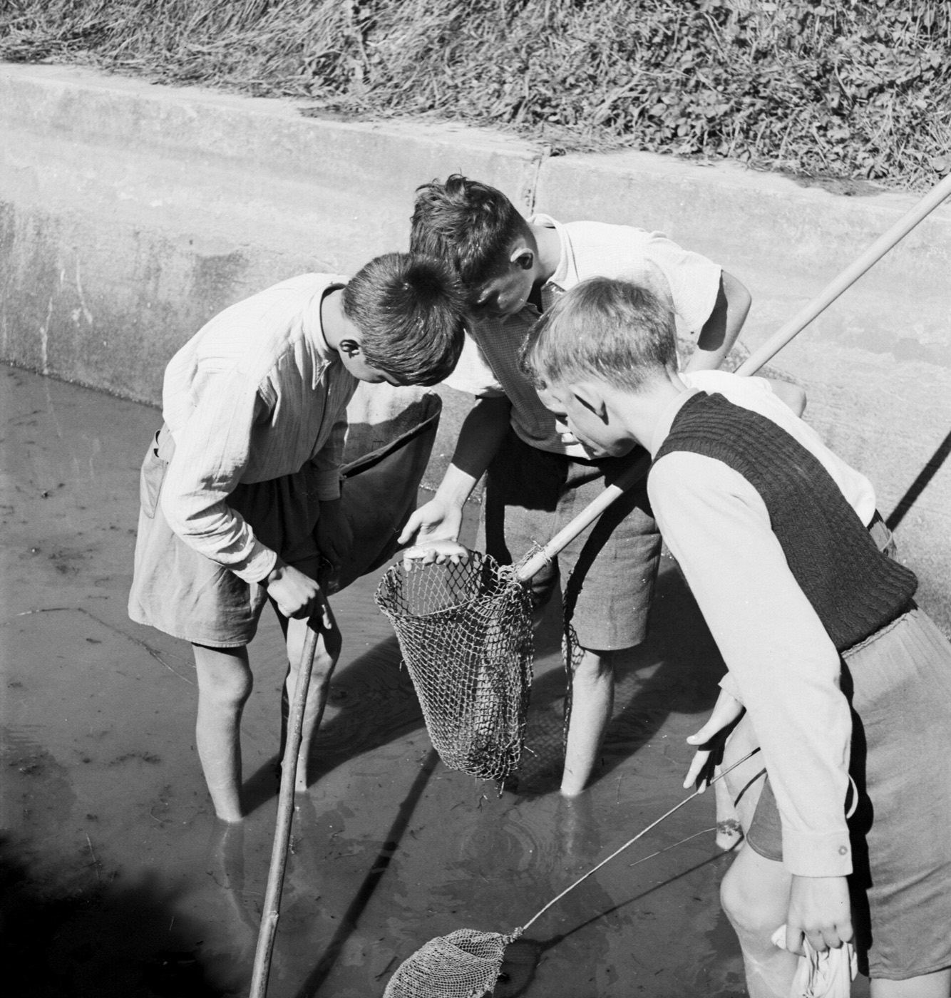 Schwarzweissaufnahme von 1944: drei Buben in kurzen Hosen stehen barfuss im flachen Wasser des betonierten Stadtbachs und beugen sich über einen Kescher
