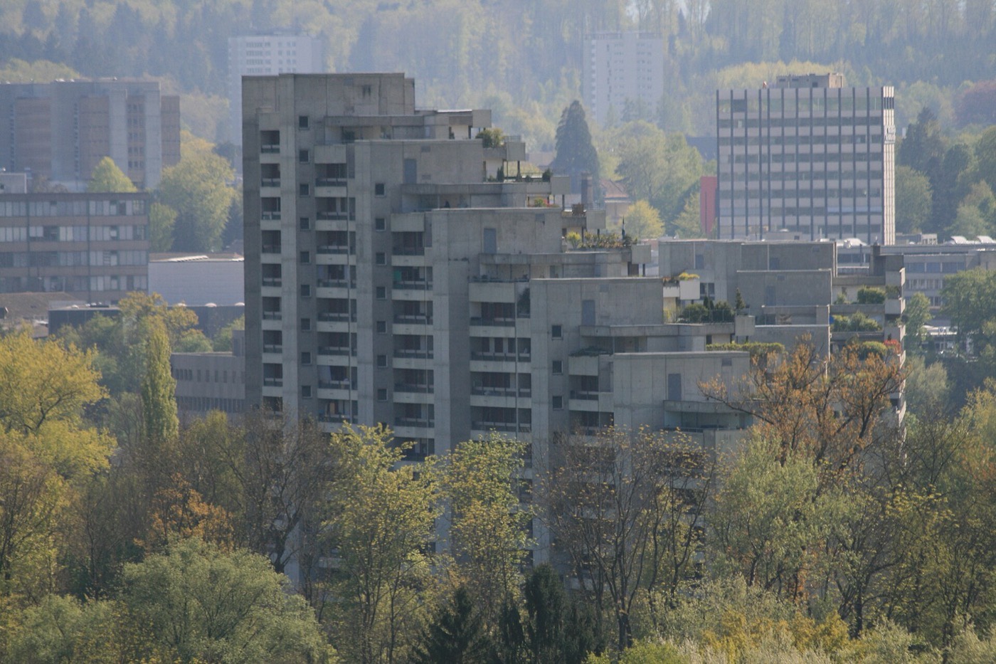 Die Wohnsiedlung Telli in Aarau: lange, hohe Wohnblöcke mit gestaffelten Balkonreihen, davor Rasenflächen und Bäume